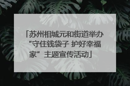 苏州相城元和街道举办“守住钱袋子 护好幸福家”主题宣传活动