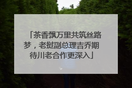 茶香飘万里共筑丝路梦，老挝副总理吉乔期待川老合作更深入