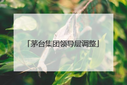 茅台集团领导层调整
