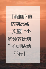 萌趣疗愈 济南高新一实验“小狗领养计划”心理活动举行