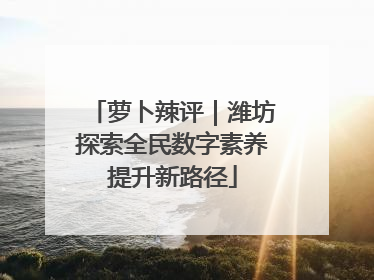 萝卜辣评｜潍坊探索全民数字素养提升新路径