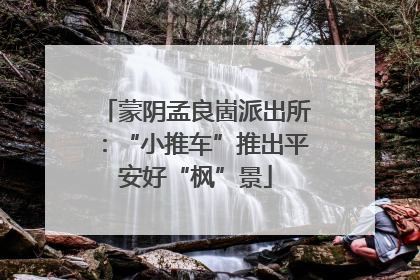 蒙阴孟良崮派出所：“小推车”推出平安好“枫”景
