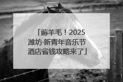 薅羊毛！2025潍坊·新青年音乐节酒店省钱攻略来了