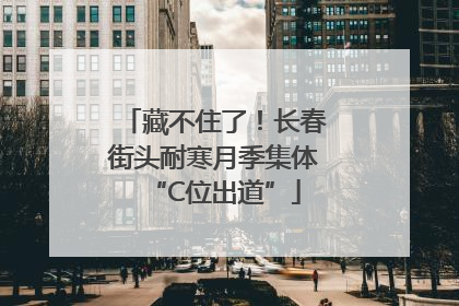 藏不住了！长春街头耐寒月季集体“C位出道”