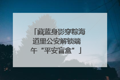 藏蓝身影穿粽海 道里公安解锁端午“平安盲盒”