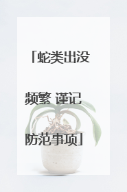 蛇类出没频繁 谨记防范事项