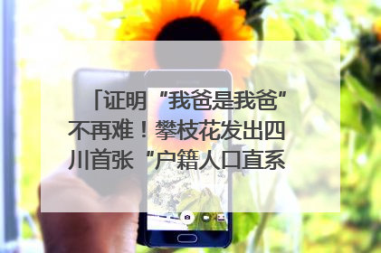证明“我爸是我爸”不再难！攀枝花发出四川首张“户籍人口直系亲属关系谱”