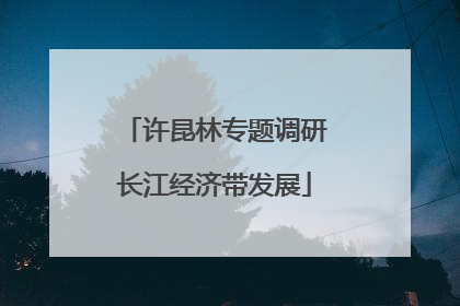 许昆林专题调研长江经济带发展