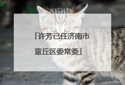 许芳已任济南市章丘区委常委