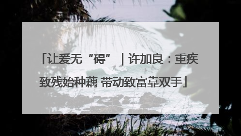让爱无“碍”｜许加良：重疾致残始种藕 带动致富靠双手