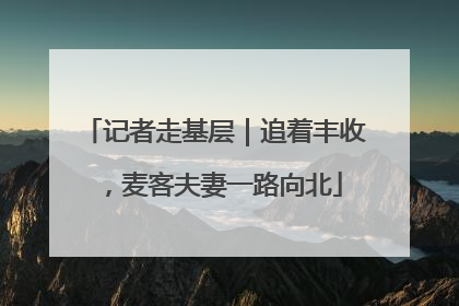 记者走基层｜追着丰收，麦客夫妻一路向北
