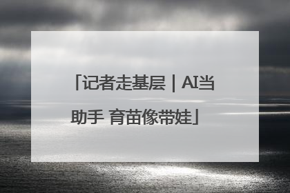 记者走基层｜AI当助手 育苗像带娃