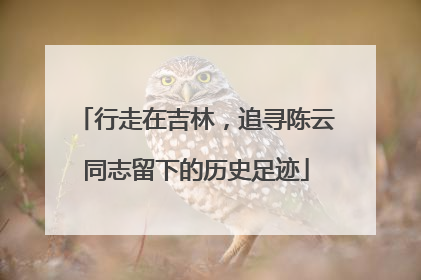 行走在吉林，追寻陈云同志留下的历史足迹