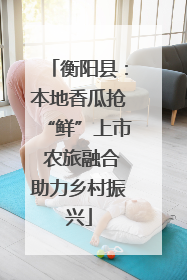 衡阳县：本地香瓜抢“鲜”上市 农旅融合助力乡村振兴