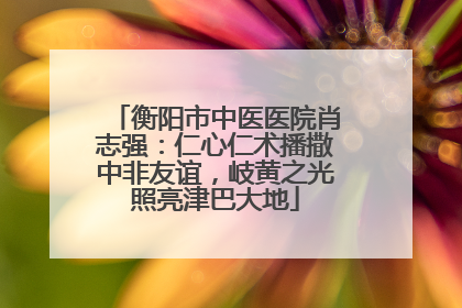 衡阳市中医医院肖志强：仁心仁术播撒中非友谊，岐黄之光照亮津巴大地