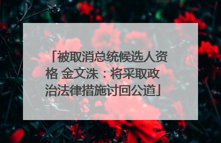 被取消总统候选人资格 金文洙：将采取政治法律措施讨回公道