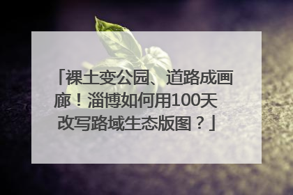 裸土变公园、道路成画廊！淄博如何用100天改写路域生态版图？