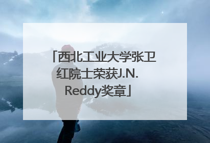 西北工业大学张卫红院士荣获J.N.Reddy奖章