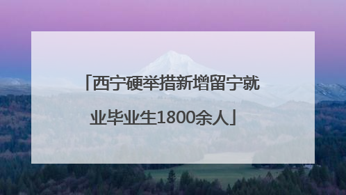 西宁硬举措新增留宁就业毕业生1800余人