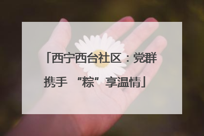 西宁西台社区：党群携手 “粽”享温情