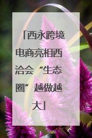 西永跨境电商亮相西洽会“生态圈”越做越大