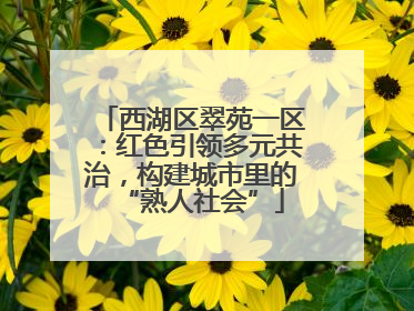西湖区翠苑一区：红色引领多元共治，构建城市里的“熟人社会”