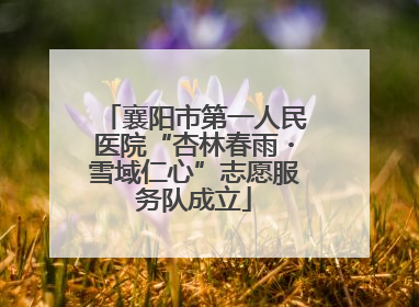 襄阳市第一人民医院“杏林春雨・雪域仁心”志愿服务队成立