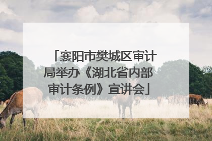 襄阳市樊城区审计局举办《湖北省内部审计条例》宣讲会