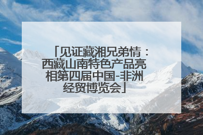 见证藏湘兄弟情：西藏山南特色产品亮相第四届中国-非洲经贸博览会