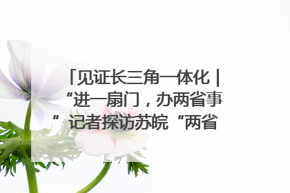 见证长三角一体化｜“进一扇门，办两省事”记者探访苏皖“两省一街”警务室