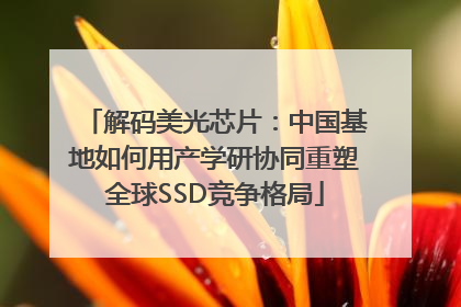 解码美光芯片：中国基地如何用产学研协同重塑全球SSD竞争格局