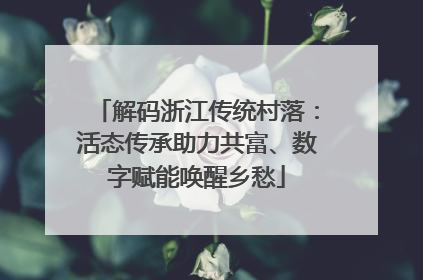 解码浙江传统村落：活态传承助力共富、数字赋能唤醒乡愁