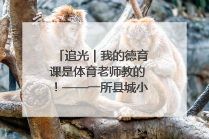 追光｜我的德育课是体育老师教的！——一所县城小学的思政课改革