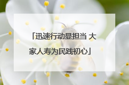 迅速行动显担当 大家人寿为民践初心