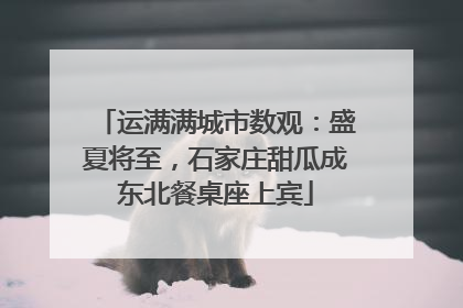 运满满城市数观：盛夏将至，石家庄甜瓜成东北餐桌座上宾