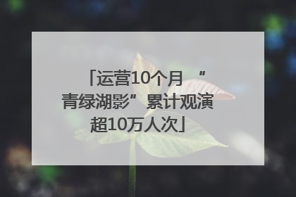 运营10个月 “青绿湖影”累计观演超10万人次