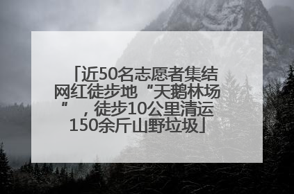 近50名志愿者集结网红徒步地“天鹅林场”，徒步10公里清运150余斤山野垃圾