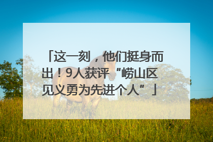 这一刻，他们挺身而出！9人获评“崂山区见义勇为先进个人”