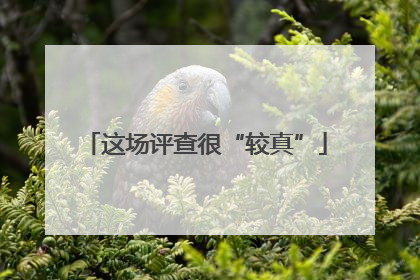 这场评查很“较真”