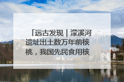 远古发现｜濛溪河遗址出土数万年前核桃，我国先民食用核桃历史大幅提前