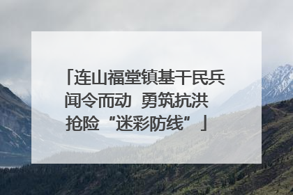连山福堂镇基干民兵闻令而动  勇筑抗洪抢险“迷彩防线”