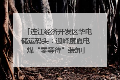 连江经济开发区华电储运码头：迎峰度夏电煤“零等待”装卸