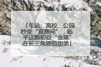 车站、高校、公园秒变“直播间”，临平这颗初夏“金果”在长三角播撒甜美