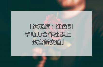 达茂旗：红色引擎助力合作社走上致富新赛道
