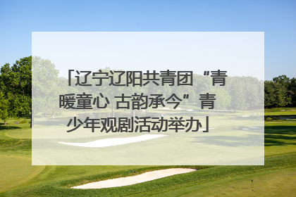 辽宁辽阳共青团“青暖童心 古韵承今”青少年观剧活动举办