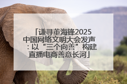 谦寻董海锋2025中国网络文明大会发声：以“三个向善”构建直播电商善意长河