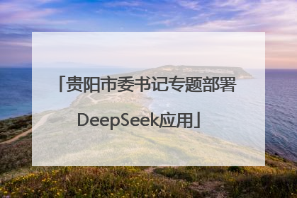 贵阳市委书记专题部署DeepSeek应用