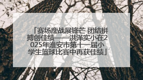 赛场鏖战展锋芒 团结拼搏创佳绩——洪泽实小在2025年淮安市第十一届小学生篮球比赛中再获佳绩