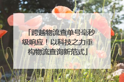 跨越物流查单号毫秒级响应！以科技之力重构物流查询新范式