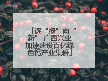 逐“绿”向“新” 广西兴业加速建设百亿绿色钙产业集群